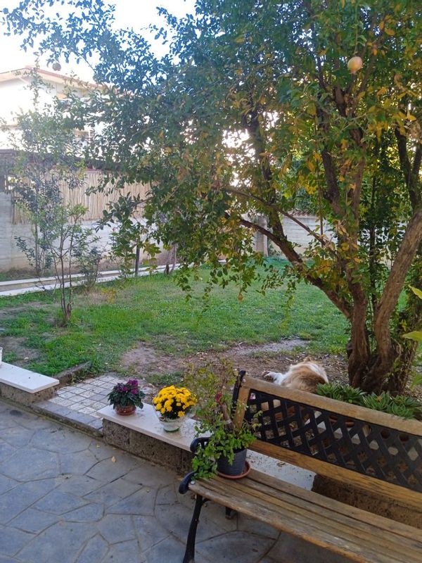 La maison de Luana
