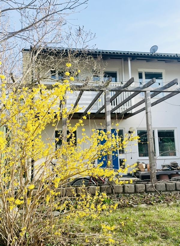 La maison de Saga