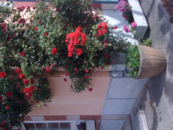 La maison de Yolande