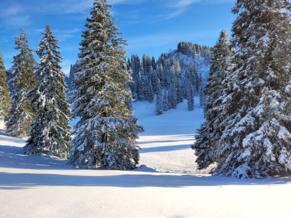 Bernex station de haute Savoie ❄️ Bel appartement au calme et tout équipé
