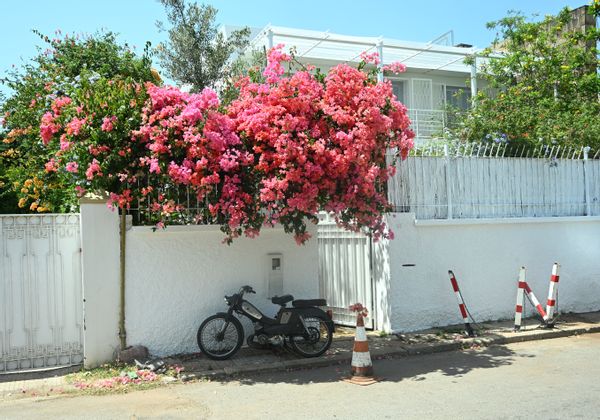 La maison de Estelle