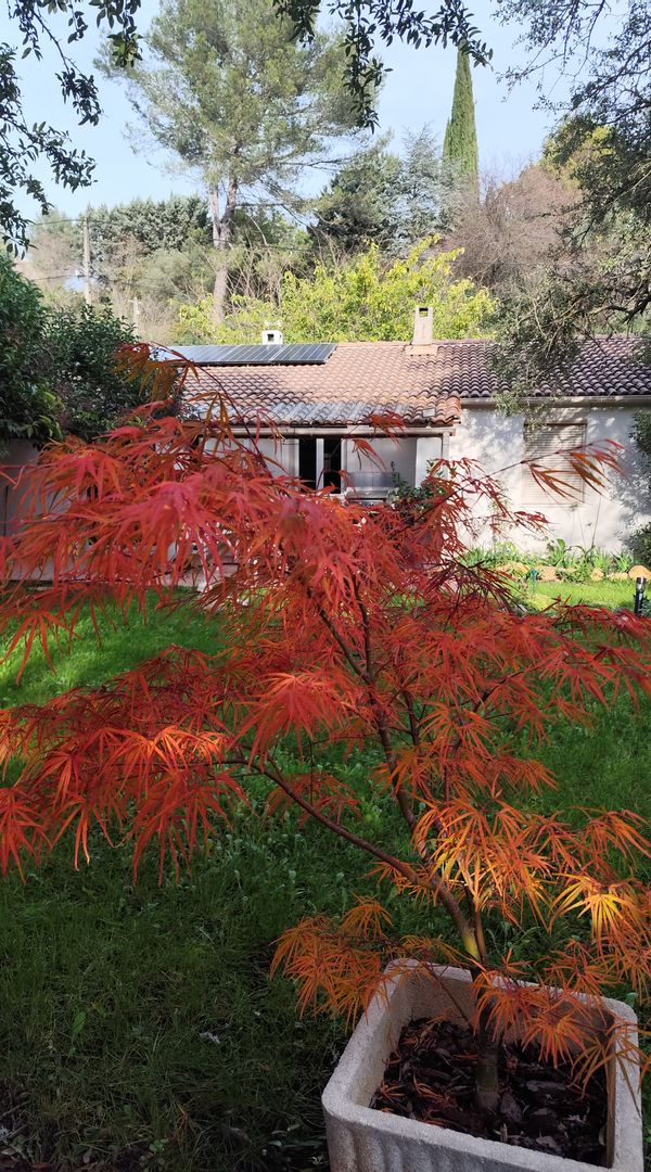 La maison de LAURENCE