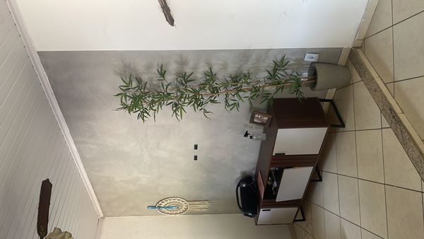 La maison de Haysa