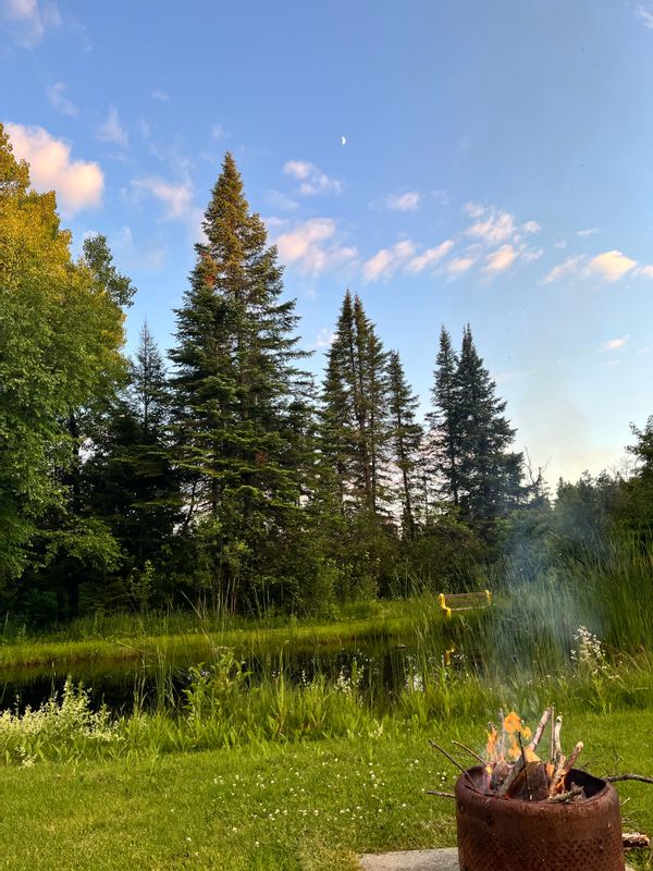 Maison familiale en nature ❋ Étang, boisé, terrasse, grand terrain, arbres fruitiers