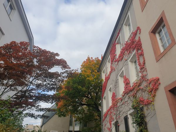 La maison de Franziska