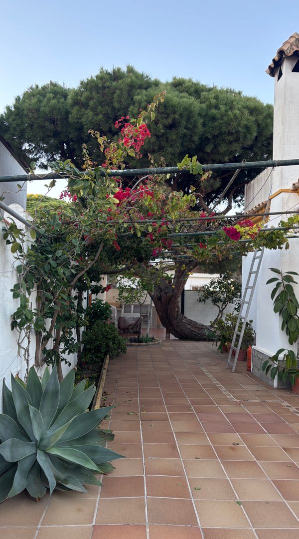 La maison de Antonia