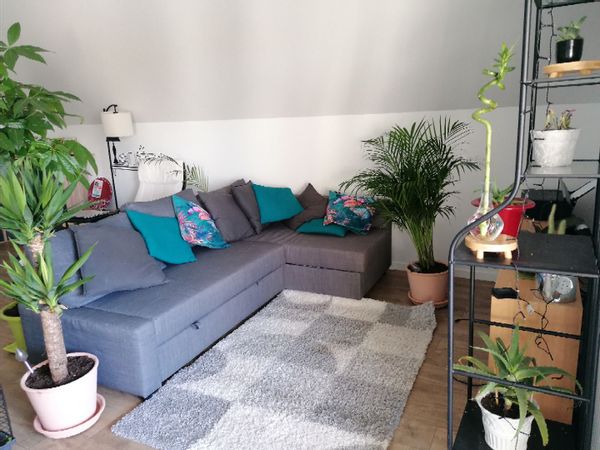 l'appartement de Gwenola