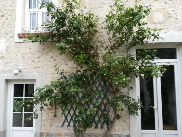 La maison de Marie - échange pour 1 année avec un logement en Suède