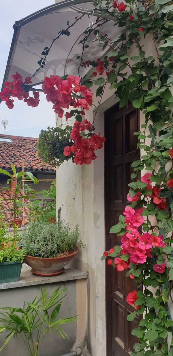 La maison de Rosa