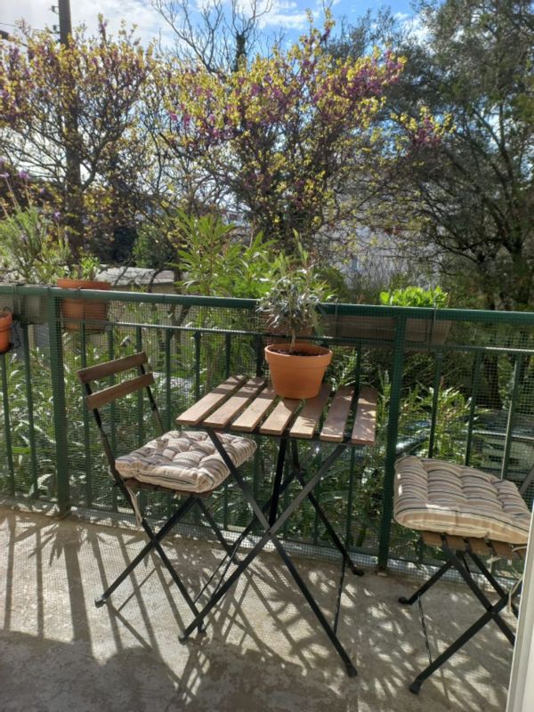 Cozy apartment for book- and plantlovers near historic center, 20 min-drive from the beach