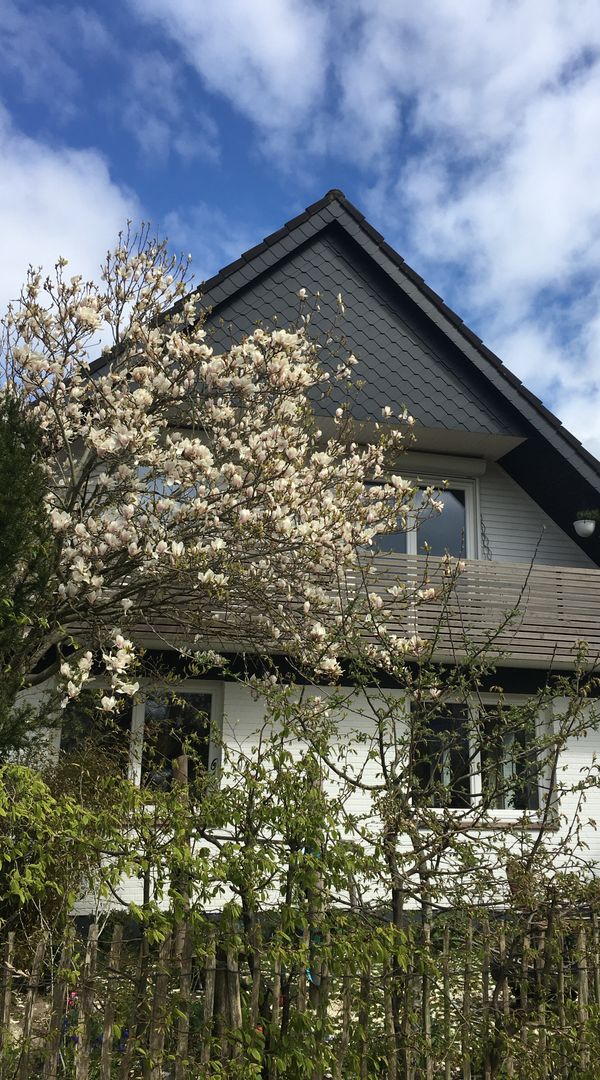 La maison de Birgit