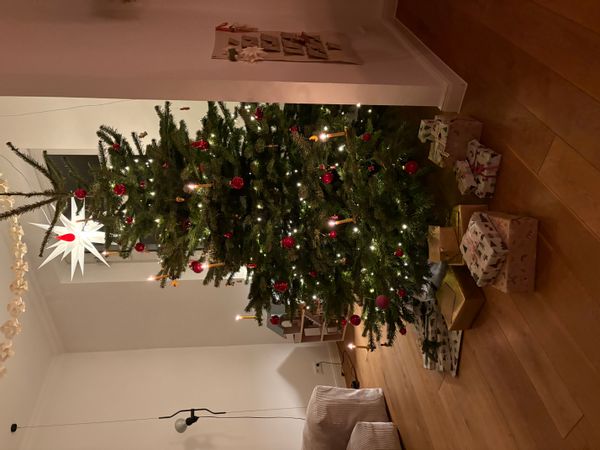 La maison de David