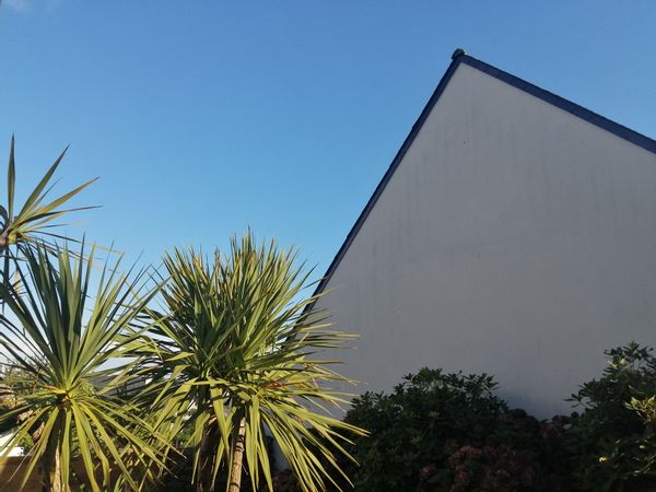 La maison de Cécile
