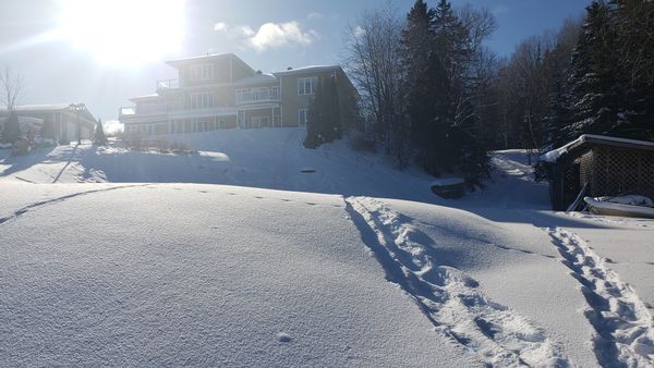 Logement 2 chambres situé sur immense terrain en bordure de la rivière Saguenay