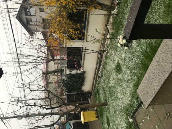 La maison de Raluca