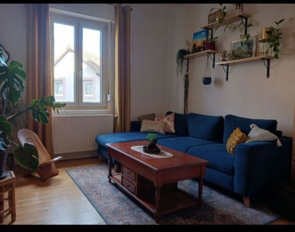 Appartement cosy et fonctionnel aux portes de Strasbourg