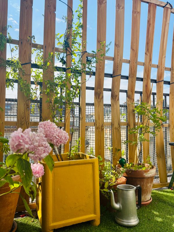Appartement 2 chambres avec balcon Paris centre!