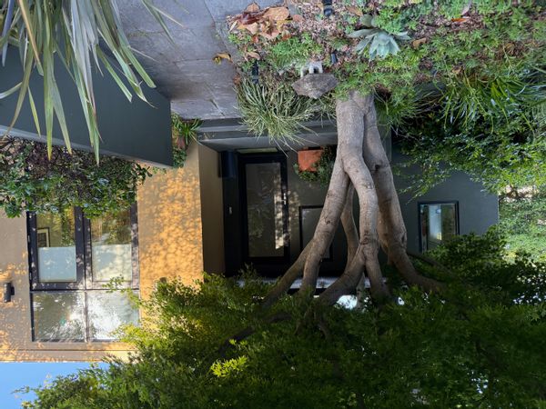 La maison de Massimo