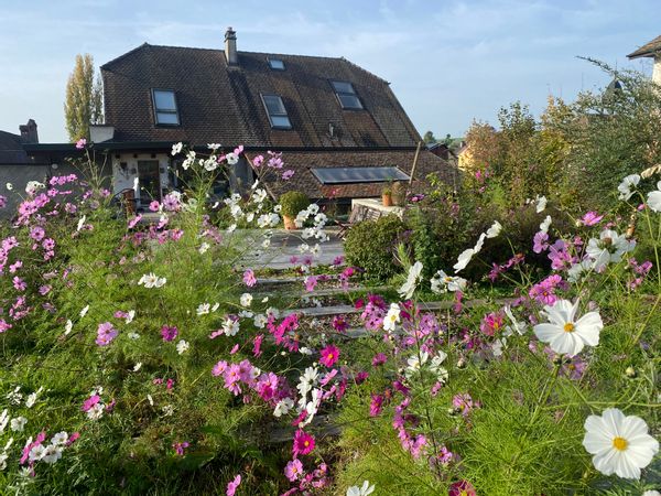Jardin et charme chez Véronique et Thierry