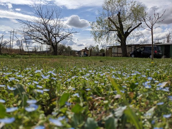 Terrain de loisir pour camping
