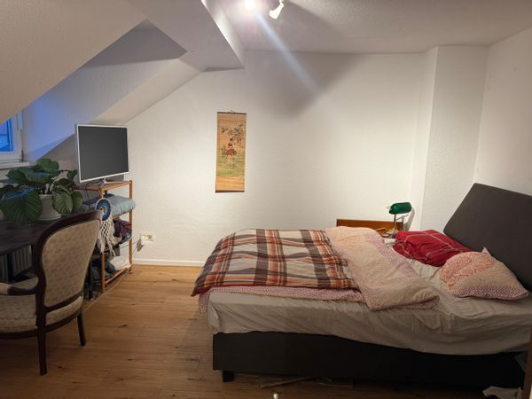La maison de Tim