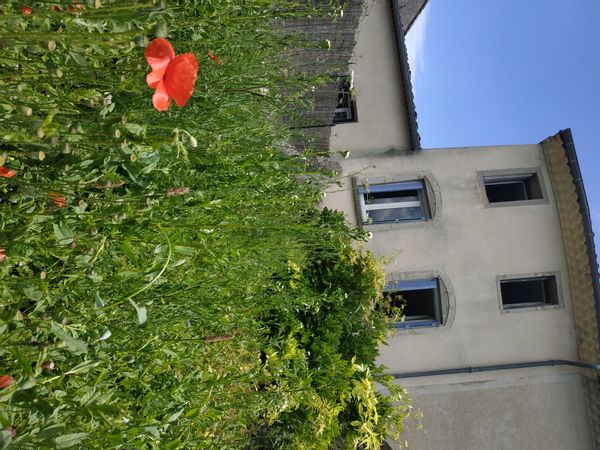 Bienvenue en Piémont Cévenol !