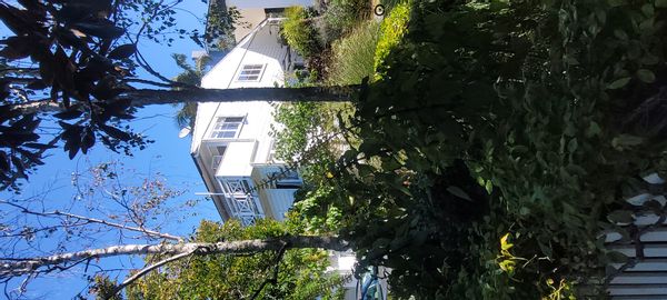 La maison de Mark