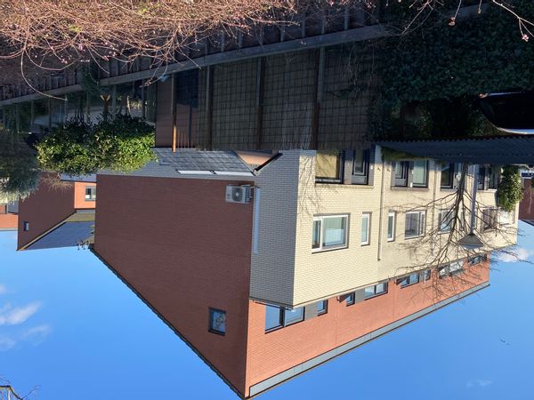 La maison de Wilco