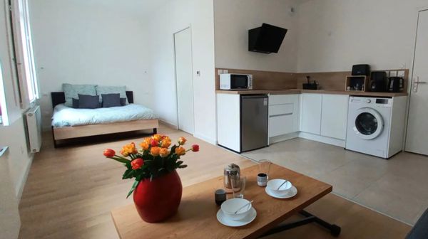Grand studio entre Loire et Centre ville
