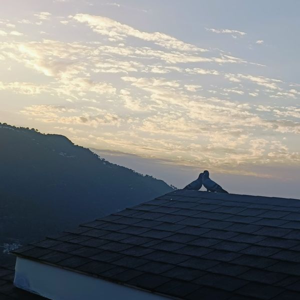 La maison de Umang