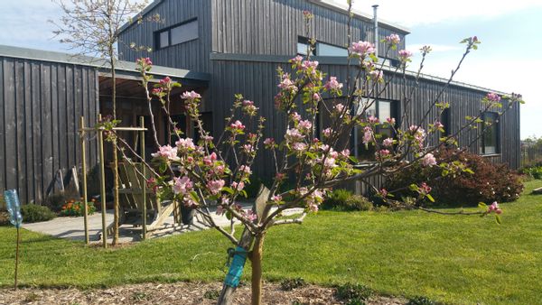 Maison dans beau jardin, à 5 minutes à pied de la plage !