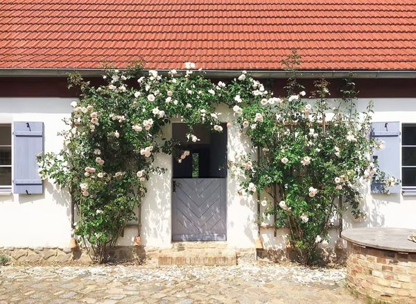 La maison de Katta und Stephan