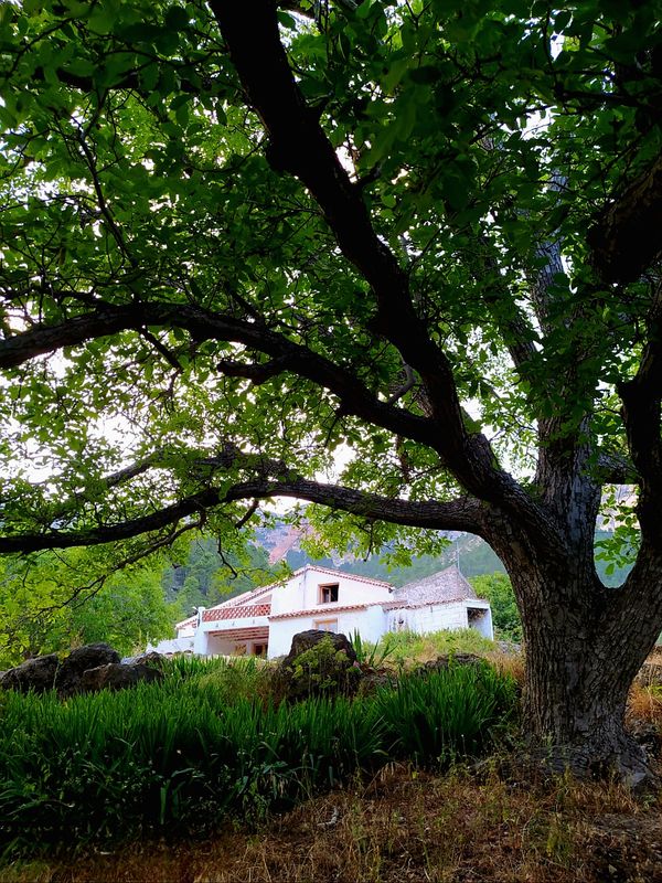 La maison de Antonio y Elena