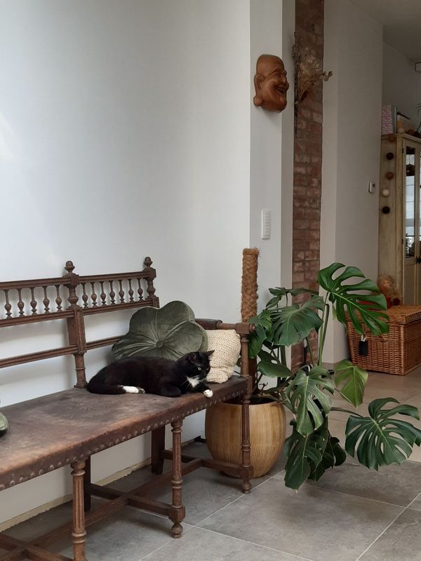 La maison de Delphine