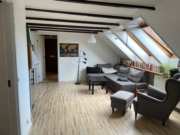 Charming rooftop apartment close to Aalborg’s city centre
