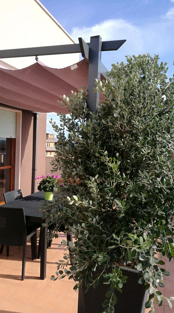La maison de Antonio Pirrelli