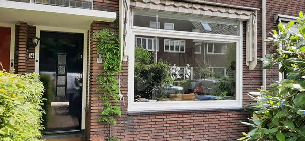 La maison de Nienke