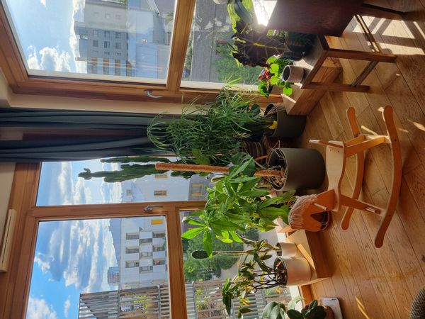 L'appartement sur l'Ile