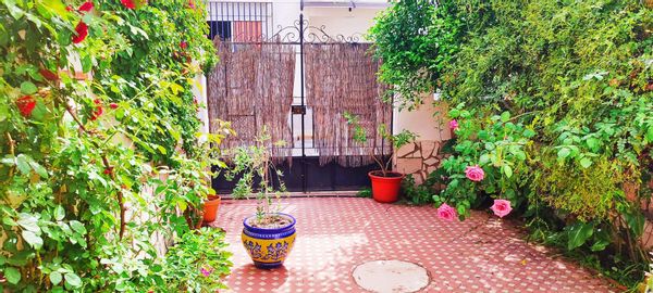 La maison de Ángela