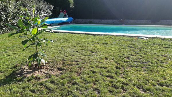 La maison de Caroline, Xavier and co vous accueille au pied du Luberon avec une belle piscine plage rien que pour vous. 4 chambres, un grand salon et une cuisine ouverte. Une terrasse de 32m² avec friteuse et plancha
