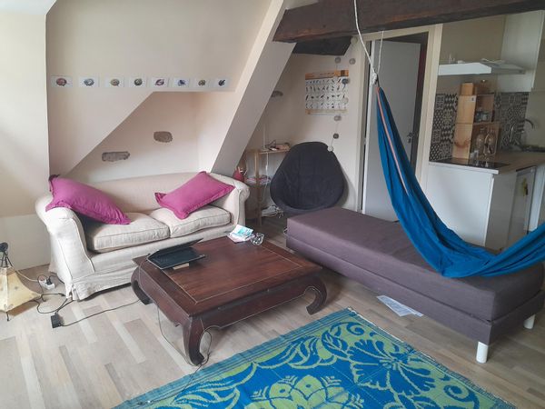 Appartement agréable, calme et propre, 1 chambre, au cœur du centre-ville historique de Morlaix, nombreux commerces, bars, salle de concert, marché le samedi, théâtre à proximité, première plage à 15 minutes en voiture (bus gratuit l'été pour s'y rendre), nombreux sites et paysages magnifiques entre la mer et la campagne, transport en commun gratuit dans la ville et les environs.