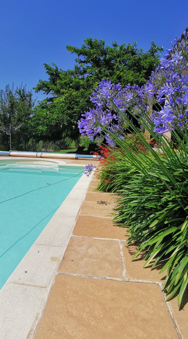 Maison avec Piscine entre Corrèze, Dordogne et Lot : gastronomie et détente