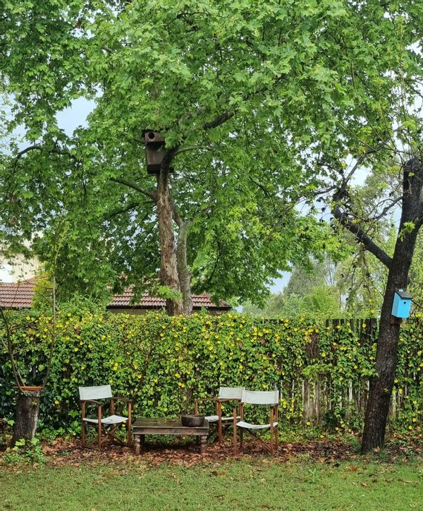La maison de Tal