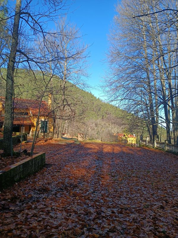 Maison chalet Huerta de los Castaños