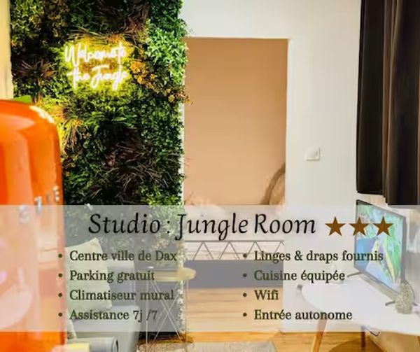 JungleRoom, centre ville de Dax