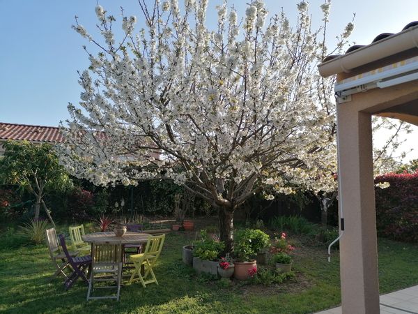 Maison fleurie au cœur du pays Cathare