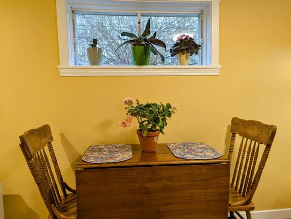 L'appartement de Grace lumineux et chic avec un jardin privé et enfleuré.