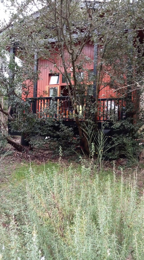 Le chalet de Marie José dans la forêt
