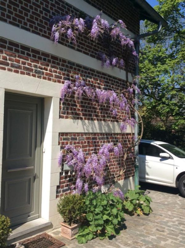 Charmante maison mitoyenne proche de Bruxelles