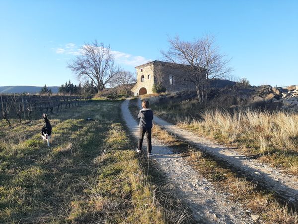 Le mas Régis
